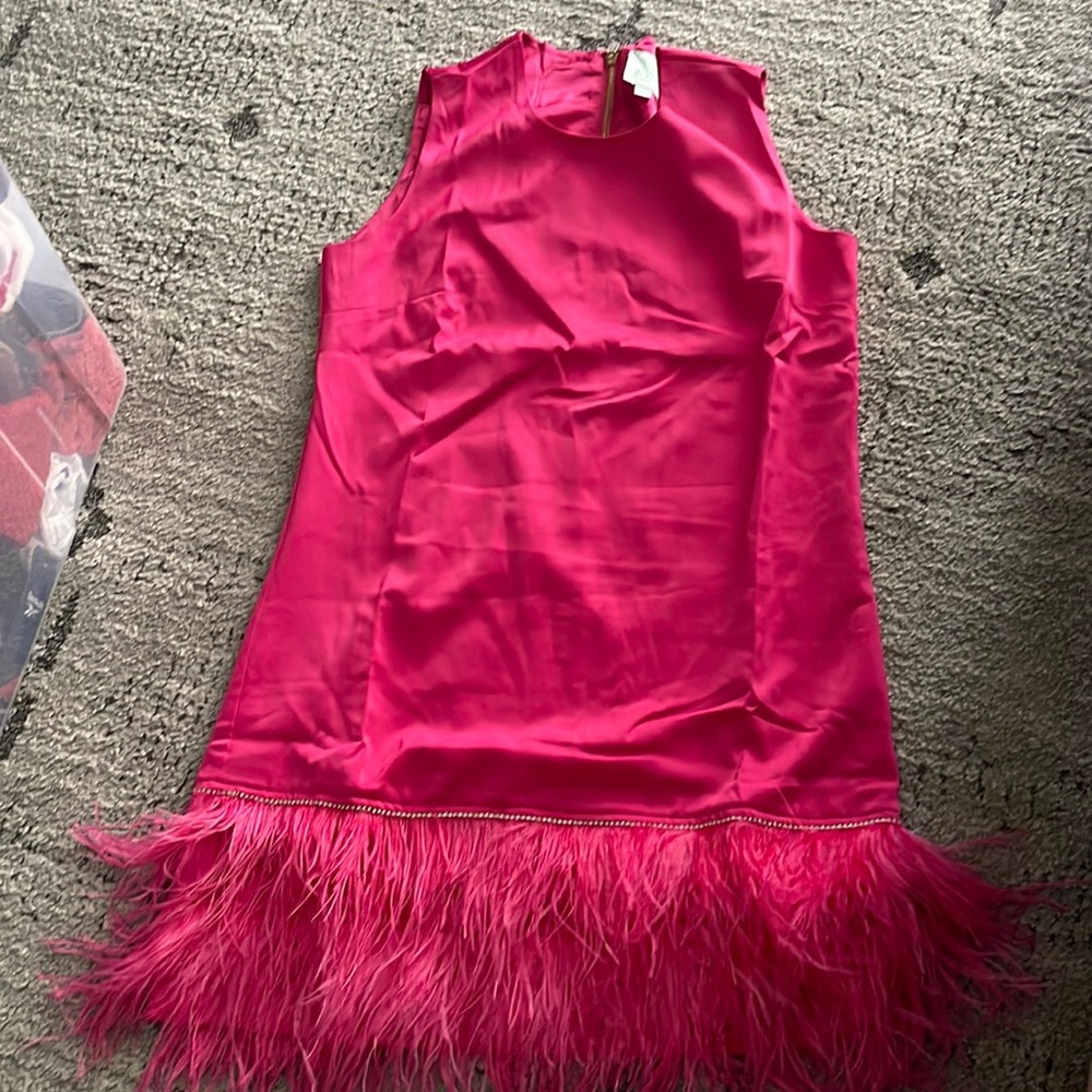 Hot pink feather dress